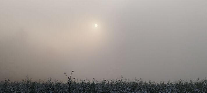 Fotografia z cat na trase