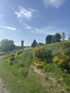 Foto de Andi Felix a lo largo del recorrido