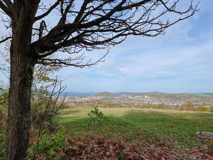 Blick vom Stadtwald Lichte auf Homberg(Efze)