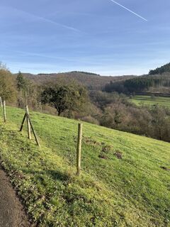 Fotografie z Sascha Marx na trase