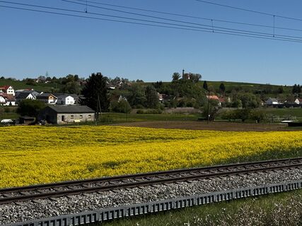 Fotografie z Schaali na trase