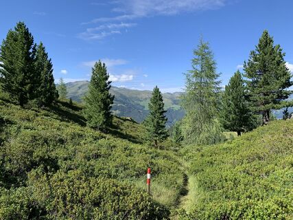 Photo de Koen De Wit le long du parcours
