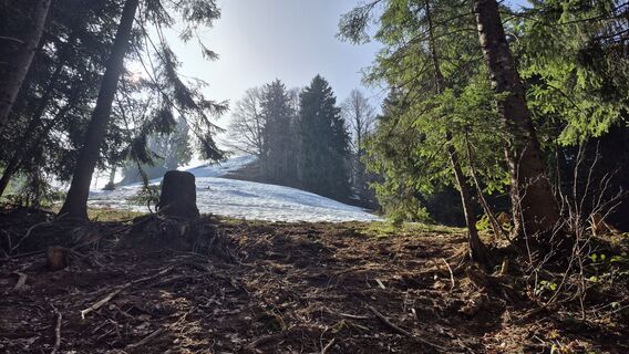 Foto de Szuki76 a lo largo del recorrido