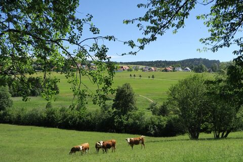 Herrischried 2