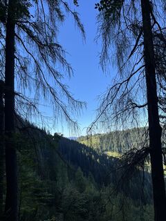 Foto da Csuti46 lungo il tour