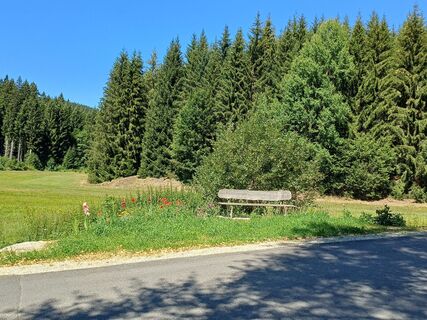 Foto von Claudia Höfinger entlang der Tour