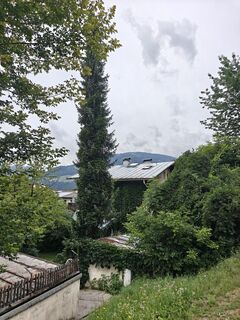 Foto von HZLHexe entlang der Tour