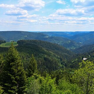 Blick vom Teisenkopf Richtung Schiltach