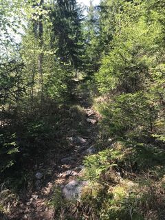 Aufstieg auf den Gösser, Oststeiermark