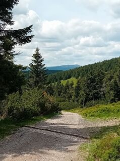 Photo de Andreas Sternol le long du parcours