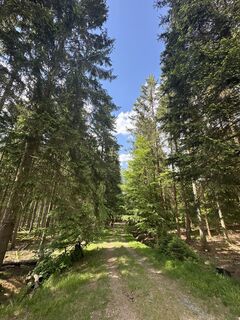 Photo de Fabrice Neulens le long du parcours