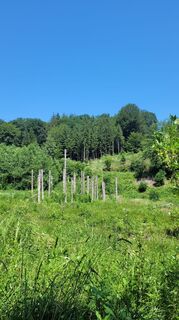 Foto von Anna48 Ma entlang der Tour