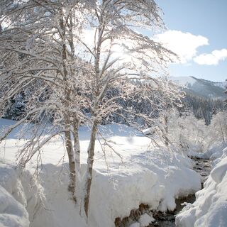 Winterwanderung in das Schwarzleotal