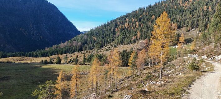Fotografija s spletne strani Kurt Mauracher na poti