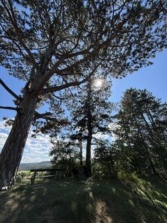 Fotografia z RS76 na trase