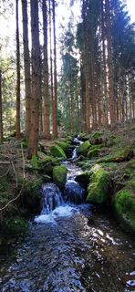 Fotografia z Klaus Lehner na trase