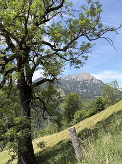 Photo de Mandy Friedrich le long du parcours