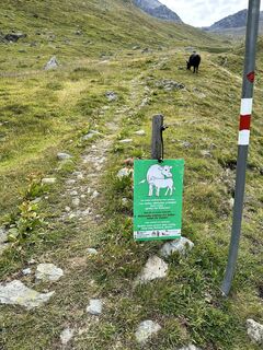 Foto von Sarah Jordi entlang der Tour