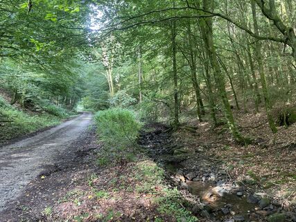 Photo de Sanca le long du parcours