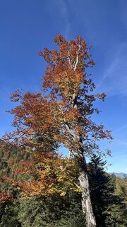 Photo de Alexander Salem le long du parcours
