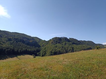 Foto von Bergpirat entlang der Tour