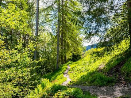 zaglbrunnrunde_img_79475304