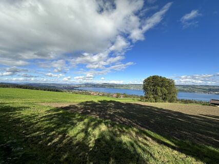 Foto de Hansarnold a lo largo del recorrido