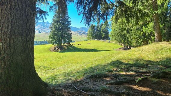 Foto von Michael Sparlund entlang der Tour