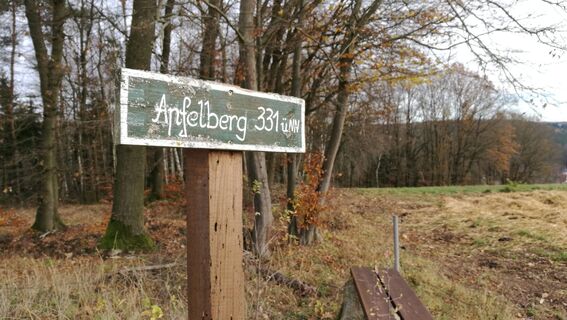 Von Wolfersdorf zur Herzoglichen Grabstätte und zur Herzog-Ernst-Eiche