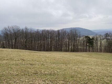 Foto de Benediktus_prim a lo largo del recorrido