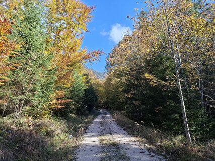Photo de Michael Putz le long du parcours