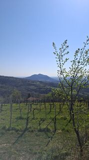 Fotografie z Michel Wynants na trase