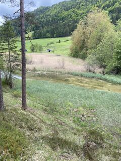 Foto von Edeltraud Fellner entlang der Tour