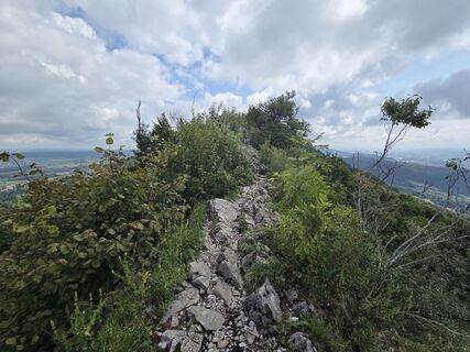 Fotografia z Sven na trase