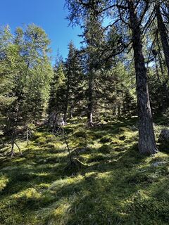 Foto von Tom_Pils 2700 entlang der Tour