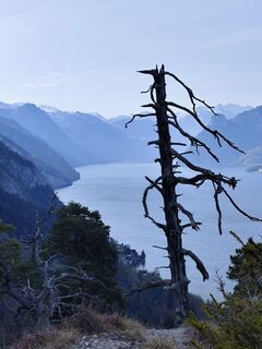 Foto von Margit Leitner 1 entlang der Tour