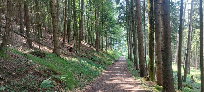 Foto von Hans Klamer entlang der Tour