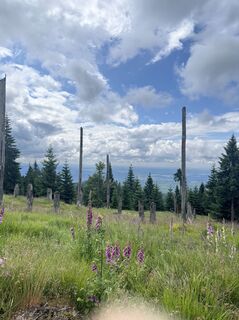 Fotografia z Martin Altmann na trase