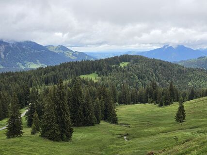 Foto von Gudrun Lippert entlang der Tour