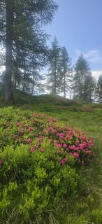 Photo de Windga le long du parcours