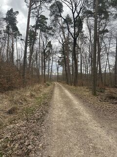 Photo de Bennadt le long du parcours