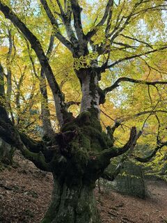 Fotografia z Gerry Girardi na trase