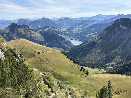 Fotografia z mlocher na trase