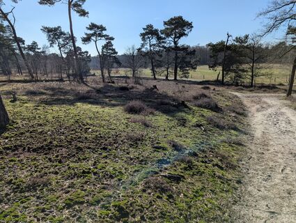 Photo de Matje Derks le long du parcours