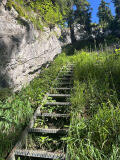 Photo de Johannes Langbauer le long du parcours