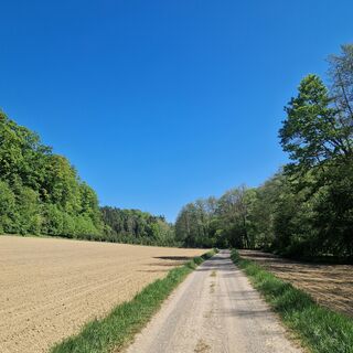 Foto de GabrieleHeschl a lo largo del recorrido