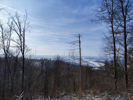 Erste gute Aussicht ins Abteiland