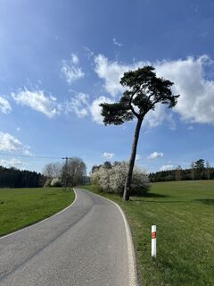 Kuva osoitteesta Václav Stejskal matkan varrella