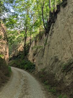 Photo de Martina Braunstein-Lamatsch le long du parcours