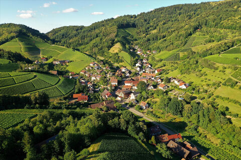 Ringelbach